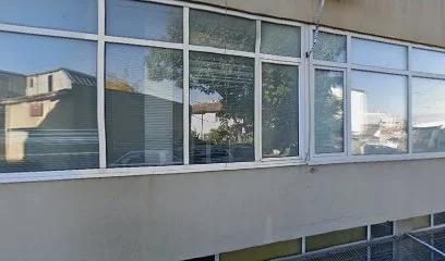Гинкотрии